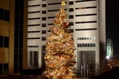 Wells Fargo Christmas display