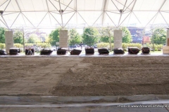 Headwaters Park Ice Rink