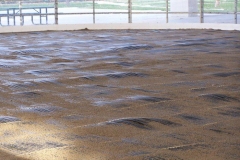 The Headwaters Park Ice Rink set up