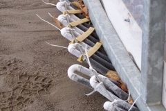 The Headwaters Park Ice Rink set up