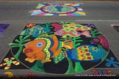 2005 TRF: Chalk Walk