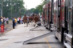 2006: The Budweiser Clydesdales getting ready