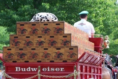 2006: Back of the Budweiser Beer Wagon