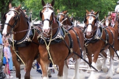 2006: The Budweiser Beer Wagon