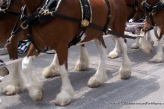 2006: The Budweiser Beer Wagon