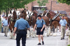 2006: The Budweiser Beer Wagon