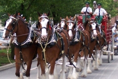 2006: The Budweiser Beer Wagon