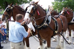2006: The Budweiser Beer Wagon