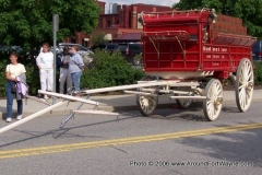 The Budweiser Clydesdales being outfitted