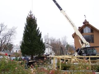 The Broadway Tree installation