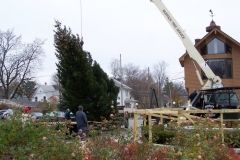 The Broadway Tree installation