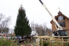 The Broadway Tree installation