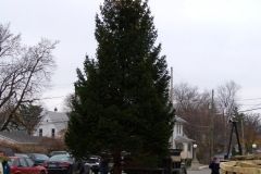 The Broadway Tree installation