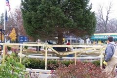 The Broadway Tree installation