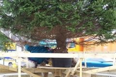 The Broadway Tree installation