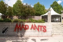 2007 TRF: Mad Ants