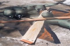 2007 TRF: Chalk Walk