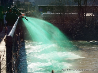 Greening the St. Marys River