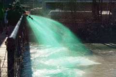 Greening the St. Marys River
