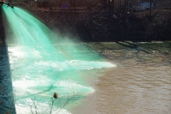 Greening the St. Marys River