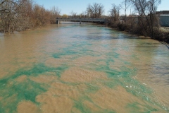 Greening the St. Marys River