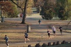 2008 Galloping Gobbler 4 Miler
