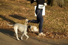 2008 Galloping Gobbler 4 Miler