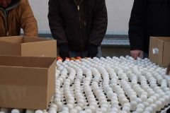 The W&D Santa and Reindeer display set-up