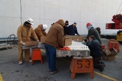 The W&D Santa and Reindeer display set-up