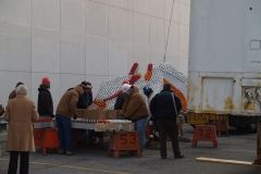 The W&D Santa and Reindeer display set-up