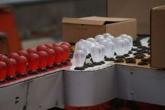 The W&D Santa and Reindeer display set-up