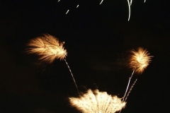 2008 TRF: Fireworks