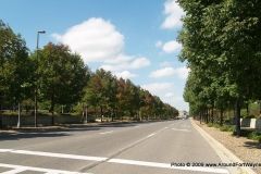 2009 Clinton Parade leaves