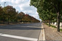 9/27/2009: Changing leaves