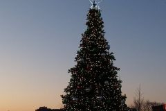Parkview Field Christmas Tree