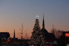 Parkview Field Christmas Tree