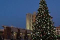 Parkview Field Christmas Tree