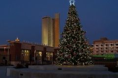 Parkview Field Christmas Tree