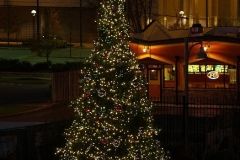 Parkview Field Christmas Tree
