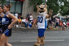 University of Saint Francis mascot