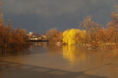 View from the Harrison Street Bridge