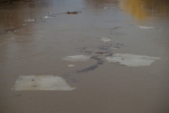 View from the Harrison Street Bridge