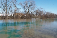 The 'green' St. Mary's River