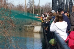 Greening the St. Mary's River