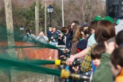 Greening the St. Mary's River