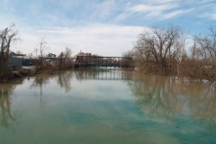 The Green St. Mary's River