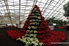 2009/11/14: Panorama of the exhibit