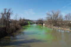 'Greening' of the St. Marys River