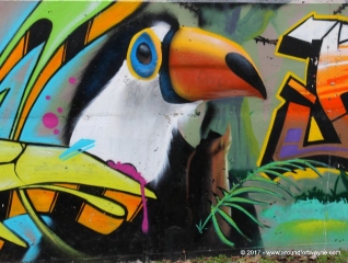 Are we in the tropics?