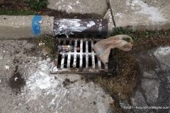 Storm drain